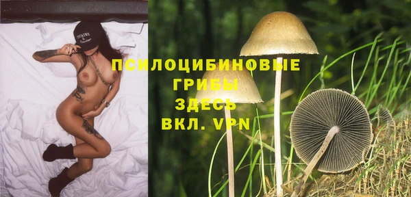 ALPHA-PVP Алексеевка