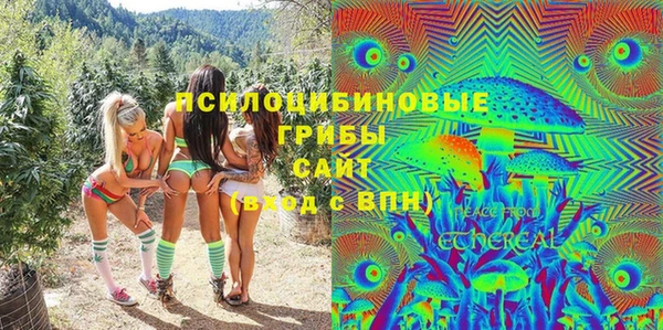 стафф Алексин